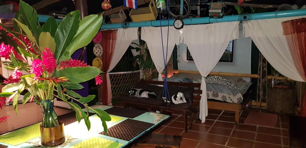Jarabacoa Family Hostel Los Angeles  Exteriér fotografie