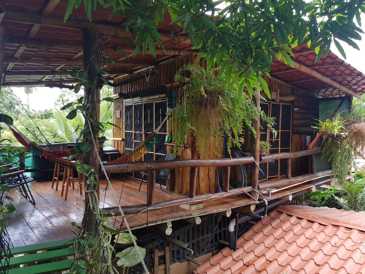 Jarabacoa Family Hostel Los Angeles  Exteriér fotografie